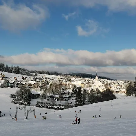 Apartment Steinbuehlschloessle Schoenwald im Schwarzwald
