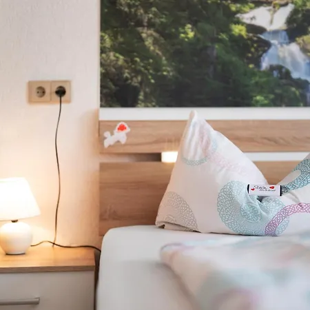 Steinbuehlschloessle Apartment Schoenwald im Schwarzwald